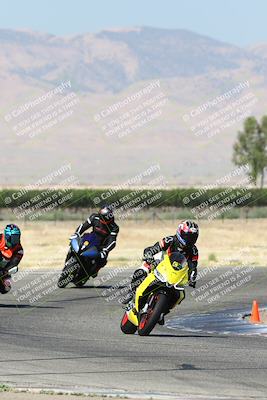 media/Jun-30-2024-TrackDaz (Sun) [[975061b0f9]]/Group C/Grapevine (940am)/
